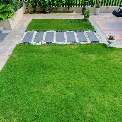 All Seasons Evergreen Grass Seeds | Fast Germination | Year-Round Beautiful Green Lawn