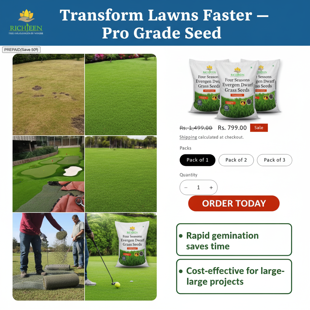 All Seasons Evergreen Grass Seeds | Fast Germination | Year-Round Beautiful Green Lawn