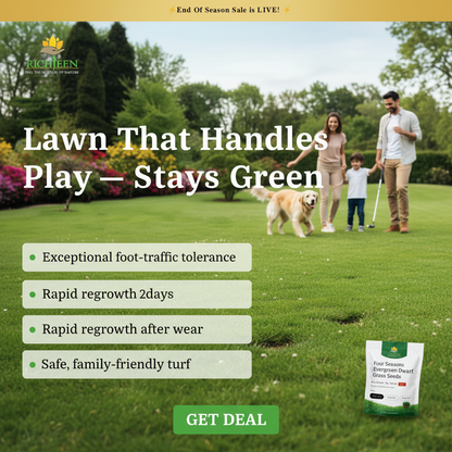 All Seasons Evergreen Grass Seeds | Fast Germination | Year-Round Beautiful Green Lawn